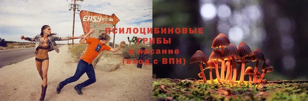 круглые Алзамай